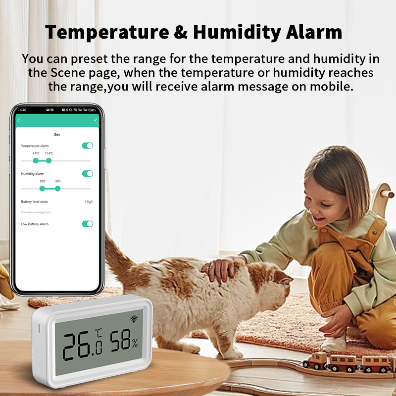 Tuya Zigbee WiFi Thermometer H - Smart Home Alexa recensie en prijs