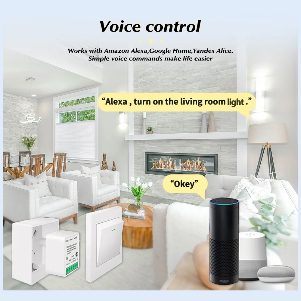 For Tuya Mini Smart WiFi Switc - Smart Home Wiz recensie en prijs