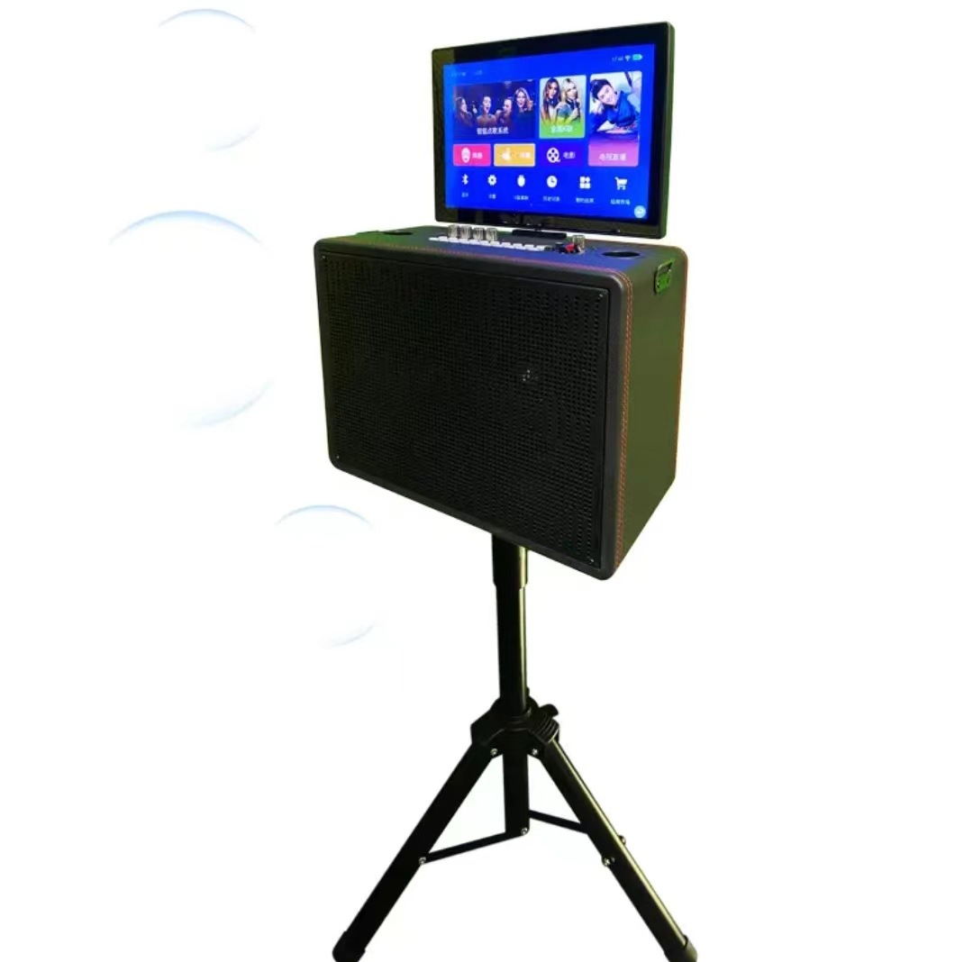 14.1 inches Flip Smart Karaoke - Homesmart Online recensie en prijs
