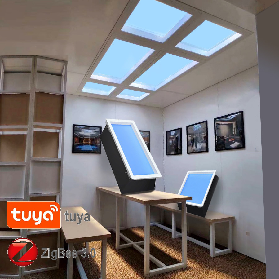 Zigbee Tuya Led Downlight Skyl - Smart Home Simulation recensie en prijs