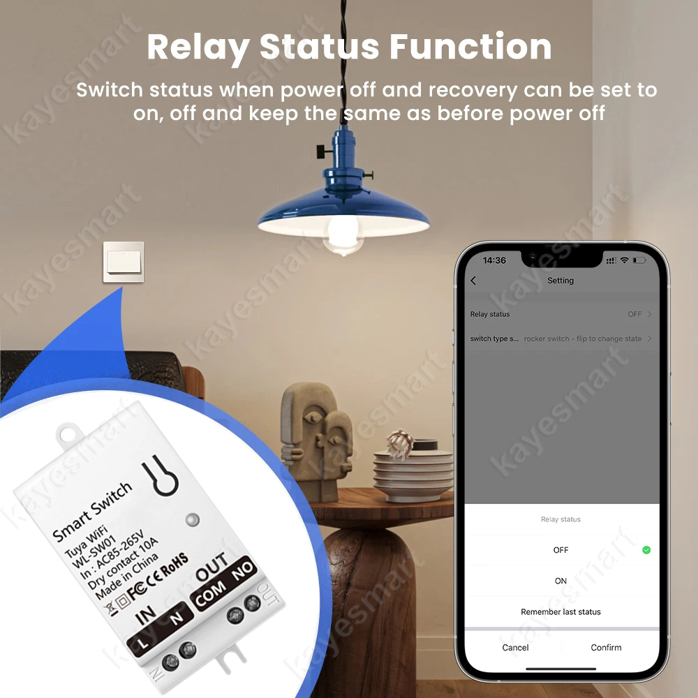 Tuya WiFi Smart Switch Module  - Smart Home Wiz recensie en prijs