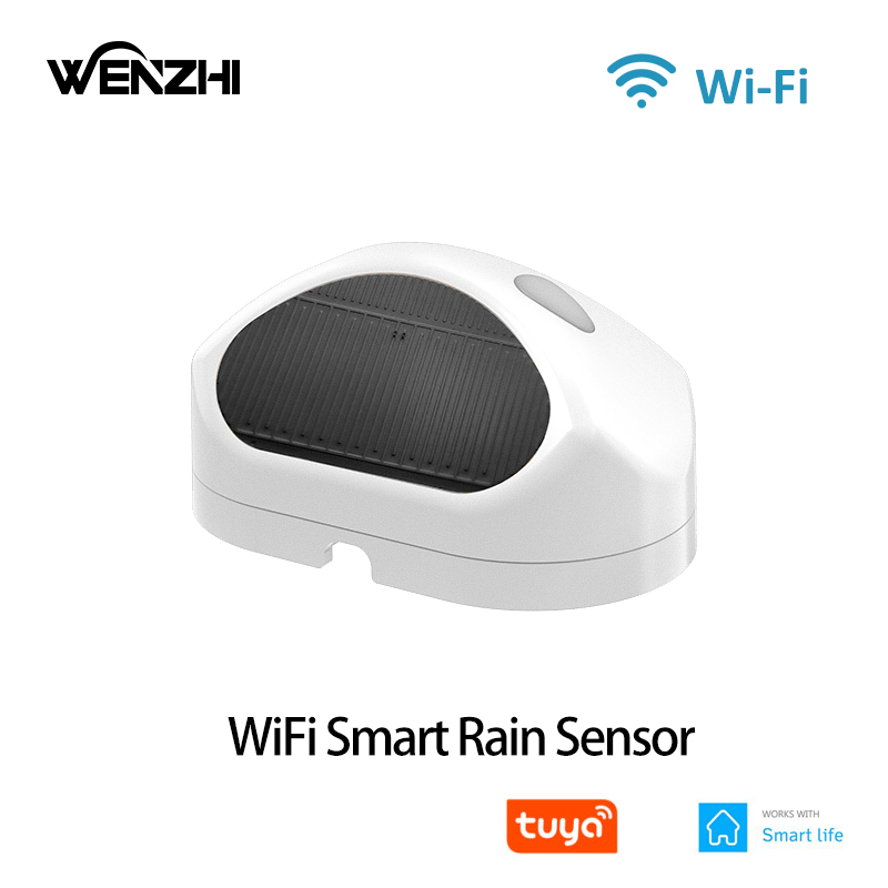 WiFi Rain Sensor Rainfall Dura - Smart Home Nas recensie en prijs