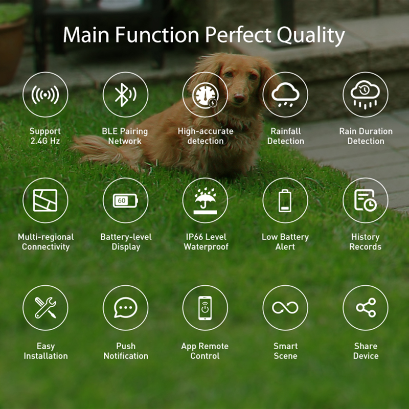 WiFi Rain Sensor Rainfall Dura - Smart Home Nas recensie en prijs