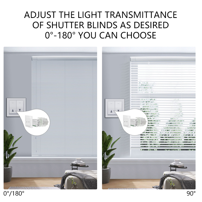 Tuya WiFi Curtain Switch Modul - Curtain Motor recensie en prijs